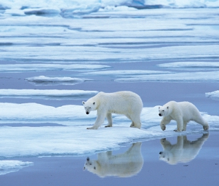 10_geo_Rinie Van Meurs_Foto Natura_Scanpix.jpg