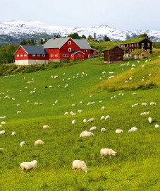 9_geo_Dag Røttereng_NN_Samfoto.jpg