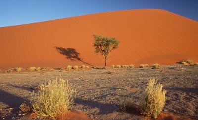 8_geo_Tom Schandy_NN_Samfoto.jpg