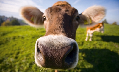 9_geo_Uli Wiesmeier_CORBIS_Scanpix.jpg